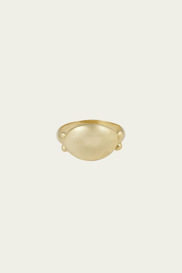 Anello Portami con te 2