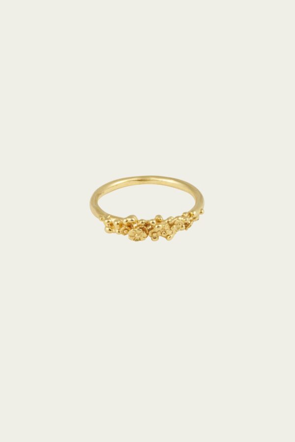 Anello Nascita 2