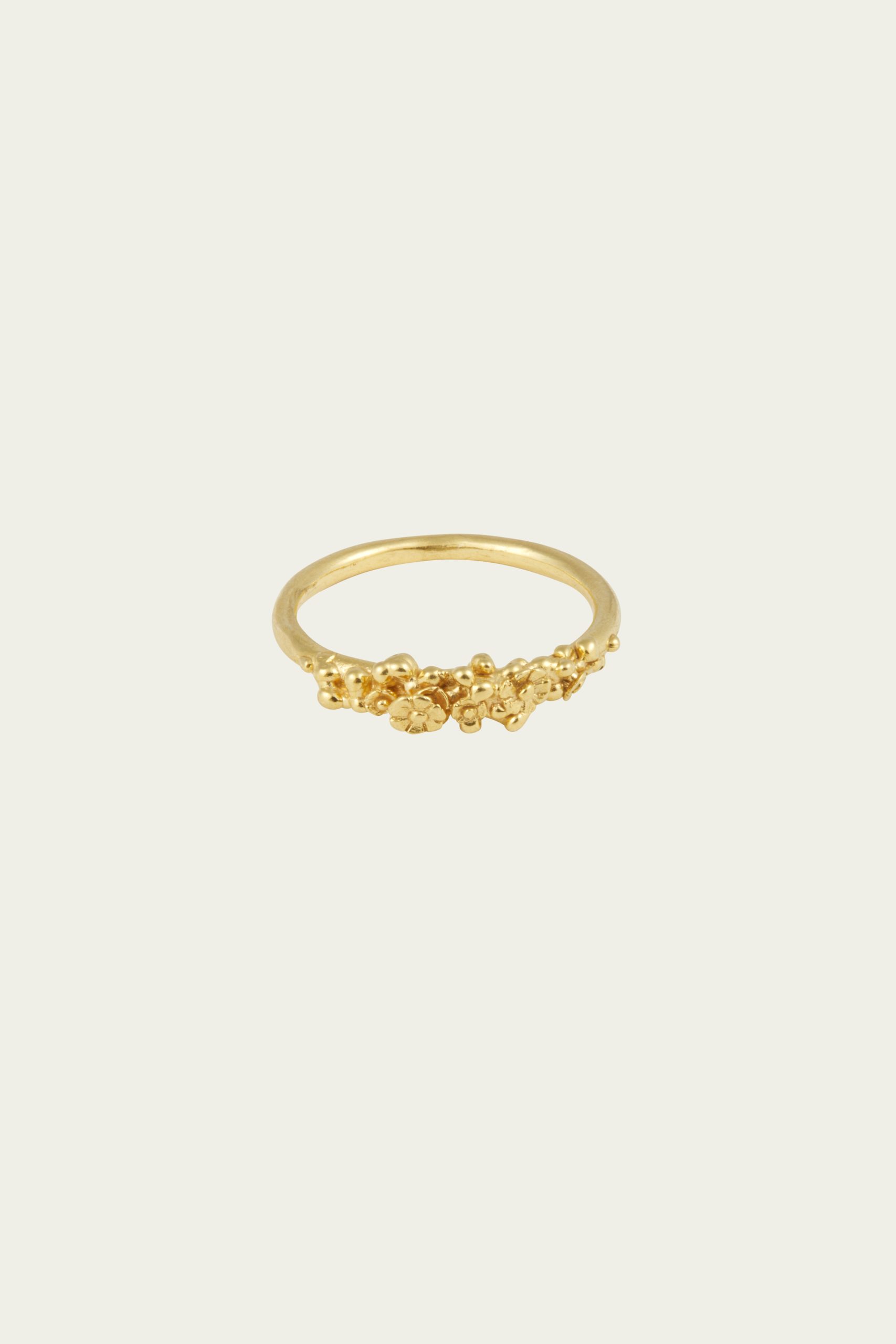 Anello Nascita 2 - Nessun bagno