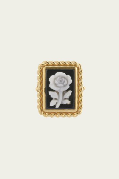 Anello Evoluzione