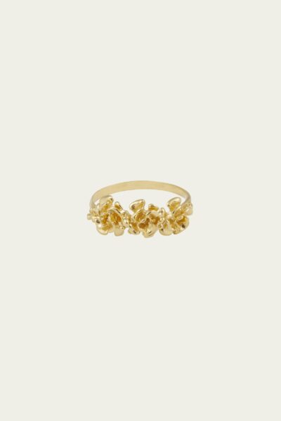 Anello Rosarum