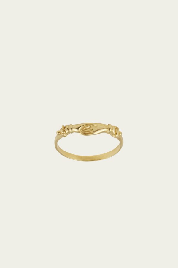 Anello Insieme