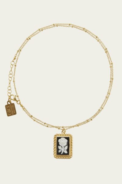 Collana Evoluzione
