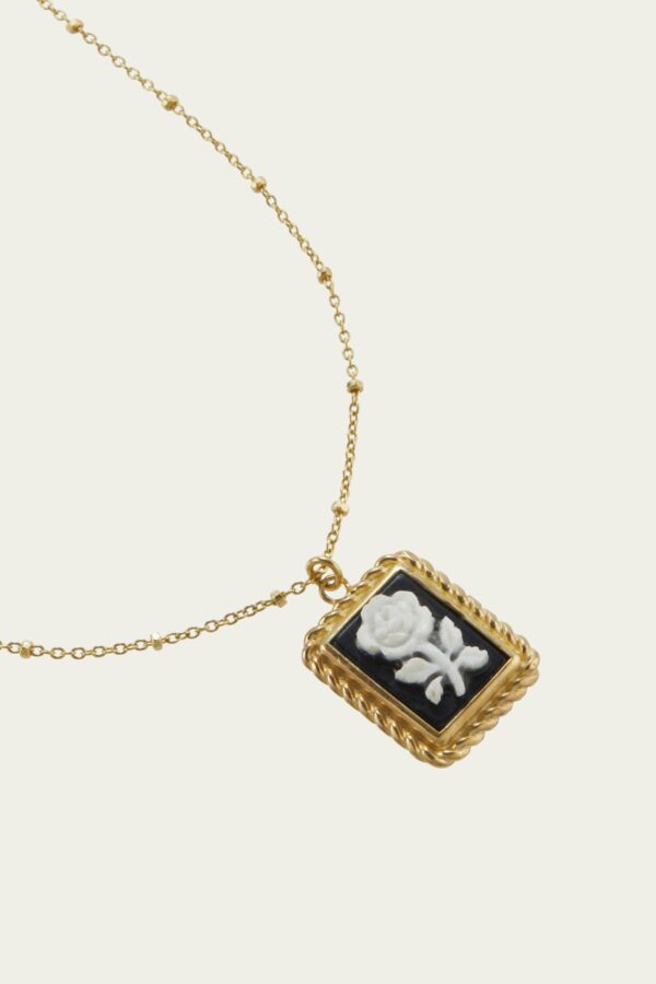 Collana Evoluzione - immagine 2