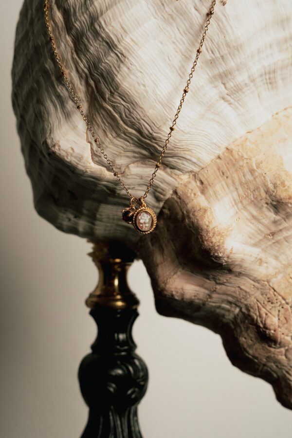 Collana Insculptus - immagine 2