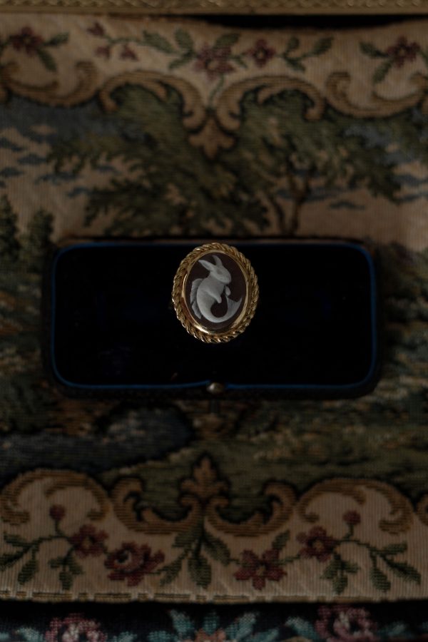 Anello Exponentia