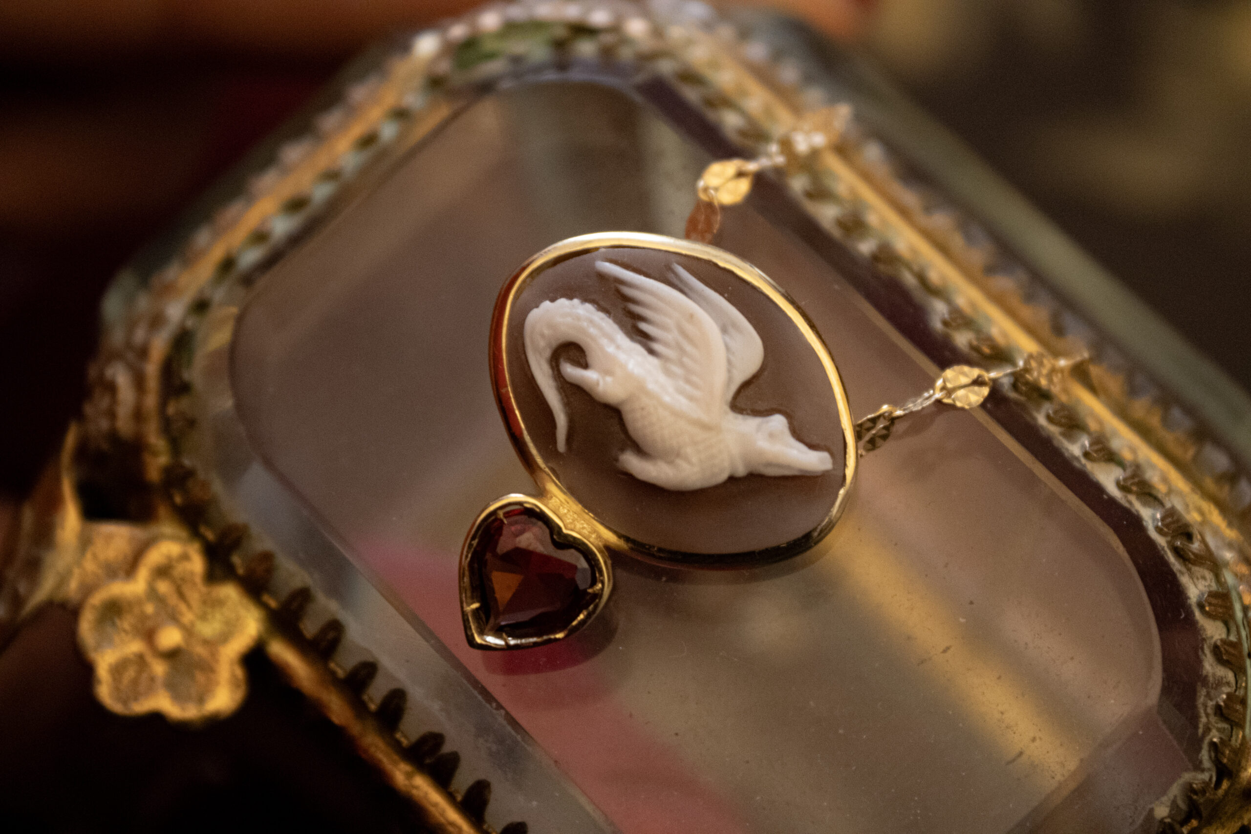 IMG_4913 • Gio Marrazzo